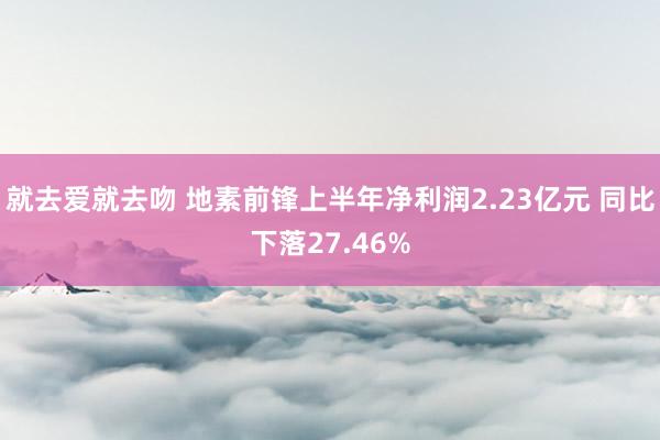 就去爱就去吻 地素前锋上半年净利润2.23亿元 同比下落27.46%