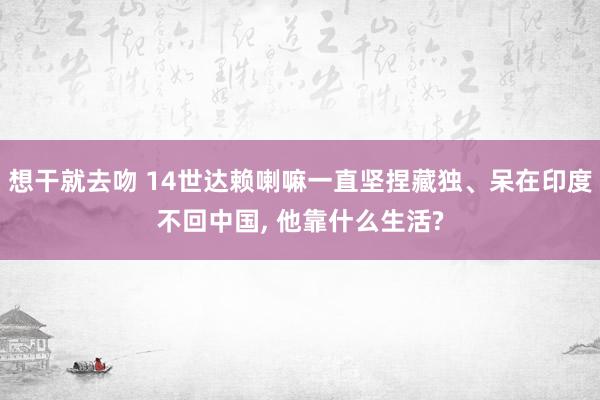 想干就去吻 14世达赖喇嘛一直坚捏藏独、呆在印度不回中国， 他靠什么生活?