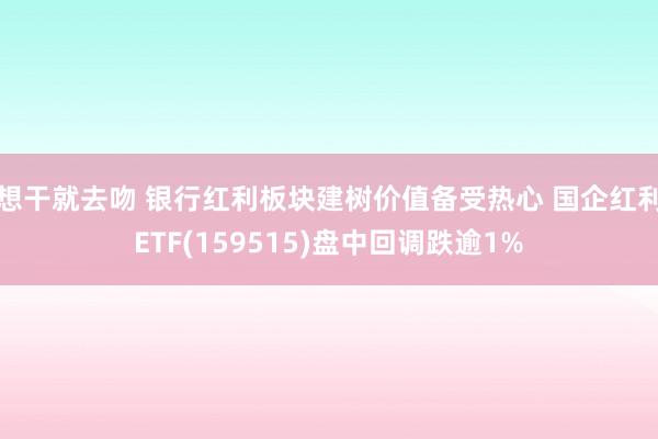 想干就去吻 银行红利板块建树价值备受热心 国企红利ETF(159515)盘中回调跌逾1%