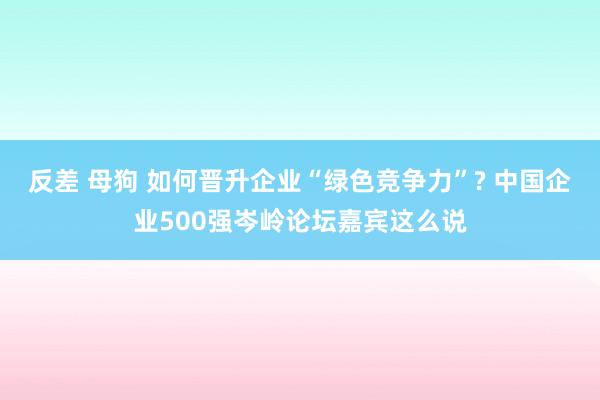 反差 母狗 如何晋升企业“绿色竞争力”? 中国企业500强岑岭论坛嘉宾这么说