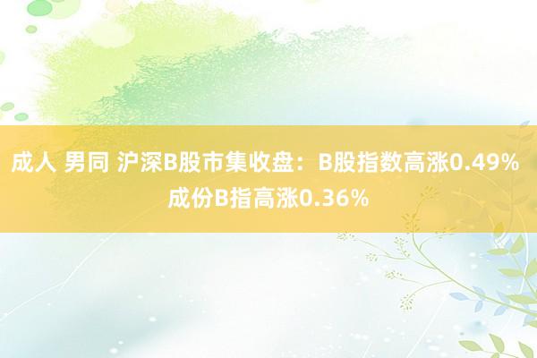 成人 男同 沪深B股市集收盘：B股指数高涨0.49% 成份B指高涨0.36%