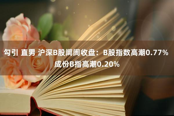 勾引 直男 沪深B股阛阓收盘：B股指数高潮0.77% 成份B指高潮0.20%