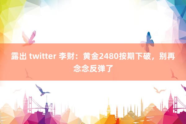 露出 twitter 李财：黄金2480按期下破，别再念念反弹了