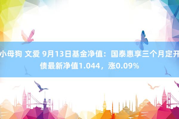 小母狗 文爱 9月13日基金净值：国泰惠享三个月定开债最新净值1.044，涨0.09%