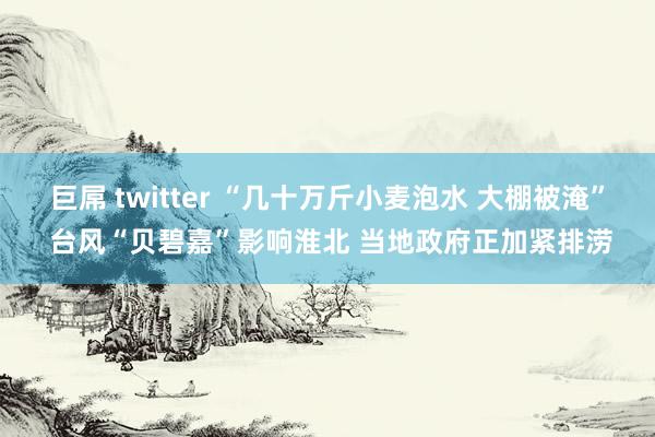 巨屌 twitter “几十万斤小麦泡水 大棚被淹” 台风“贝碧嘉”影响淮北 当地政府正加紧排涝