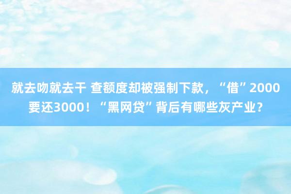 就去吻就去干 查额度却被强制下款，“借”2000要还3000！“黑网贷”背后有哪些灰产业？