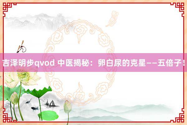 吉泽明步qvod 中医揭秘：卵白尿的克星——五倍子！