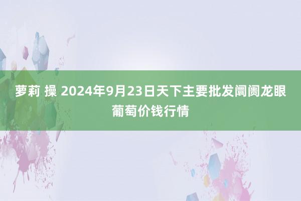 萝莉 操 2024年9月23日天下主要批发阛阓龙眼葡萄价钱行情