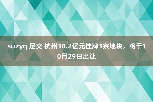 suzyq 足交 杭州30.2亿元挂牌3宗地块，将于10月29日出让