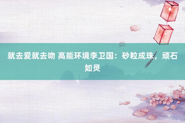 就去爱就去吻 高能环境李卫国：砂粒成珠，顽石如灵