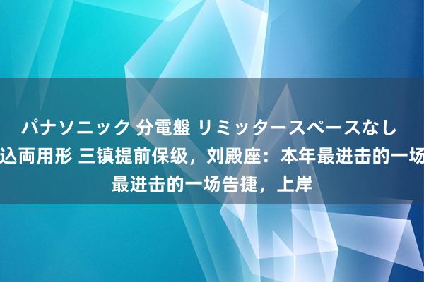 パナソニック 分電盤 リミッタースペースなし 露出・半埋込両用形 三镇提前保级，刘殿座：本年最进击的一场告捷，上岸