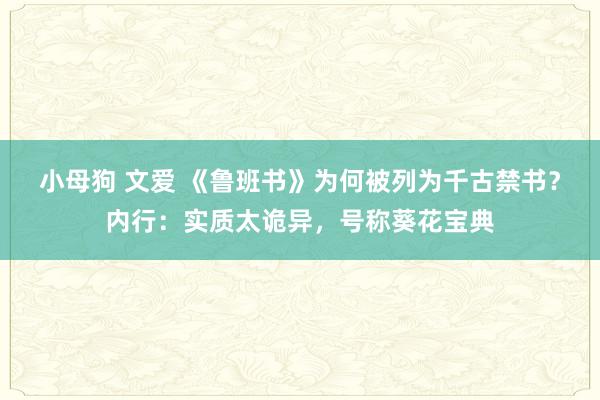 小母狗 文爱 《鲁班书》为何被列为千古禁书？内行：实质太诡异，号称葵花宝典