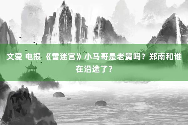 文爱 电报 《雪迷宫》小马哥是老舅吗？郑南和谁在沿途了？