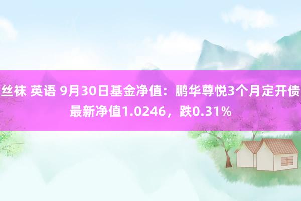 丝袜 英语 9月30日基金净值：鹏华尊悦3个月定开债最新净值1.0246，跌0.31%