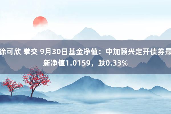 徐可欣 拳交 9月30日基金净值：中加颐兴定开债券最新净值1.0159，跌0.33%