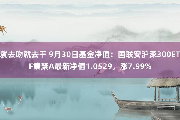 就去吻就去干 9月30日基金净值：国联安沪深300ETF集聚A最新净值1.0529，涨7.99%