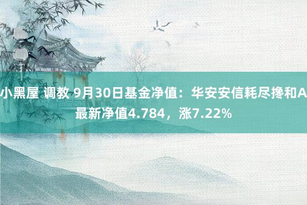 小黑屋 调教 9月30日基金净值：华安安信耗尽搀和A最新净值4.784，涨7.22%