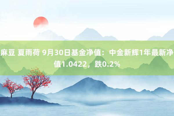 麻豆 夏雨荷 9月30日基金净值：中金新辉1年最新净值1.0422，跌0.2%