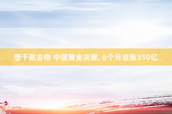 想干就去吻 中国黄金决骤， 6个月进账350亿