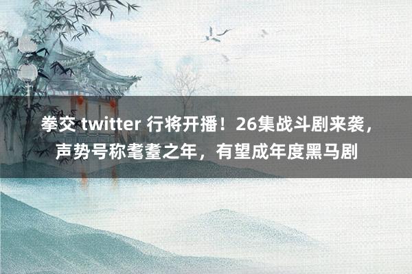 拳交 twitter 行将开播！26集战斗剧来袭，声势号称耄耋之年，有望成年度黑马剧