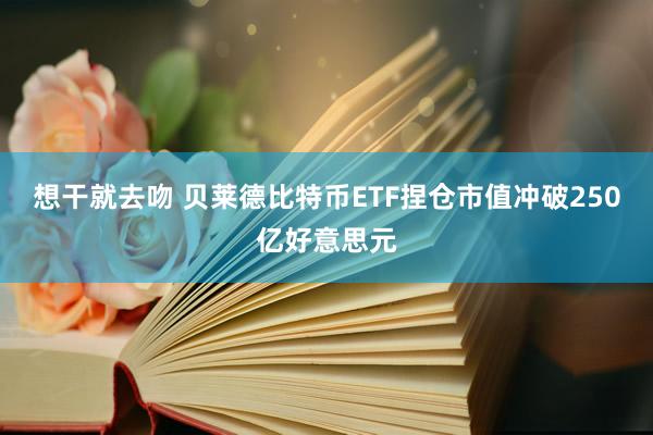 想干就去吻 贝莱德比特币ETF捏仓市值冲破250亿好意思元