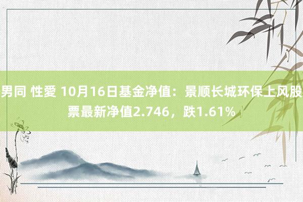 男同 性愛 10月16日基金净值：景顺长城环保上风股票最新净值2.746，跌1.61%