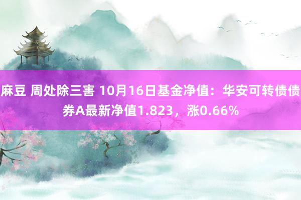 麻豆 周处除三害 10月16日基金净值：华安可转债债券A最新净值1.823，涨0.66%