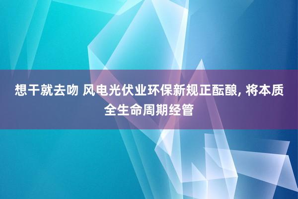 想干就去吻 风电光伏业环保新规正酝酿， 将本质全生命周期经管