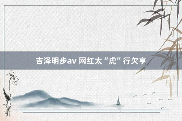 吉泽明步av 网红太“虎”行欠亨