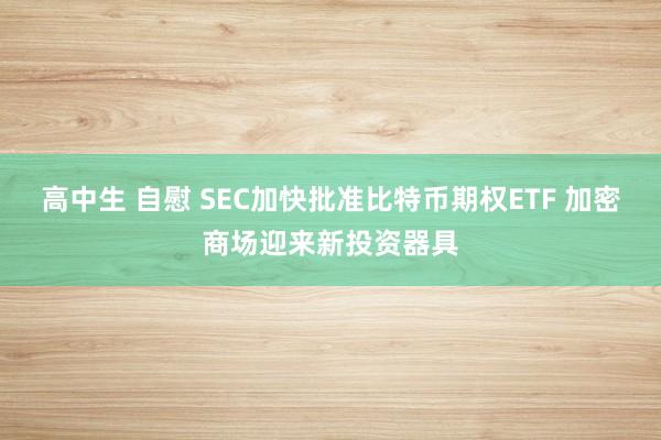 高中生 自慰 SEC加快批准比特币期权ETF 加密商场迎来新投资器具