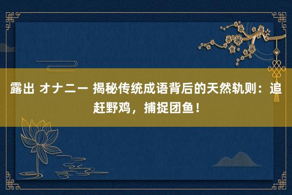 露出 オナニー 揭秘传统成语背后的天然轨则：追赶野鸡，捕捉团鱼！