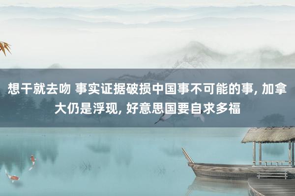 想干就去吻 事实证据破损中国事不可能的事， 加拿大仍是浮现， 好意思国要自求多福