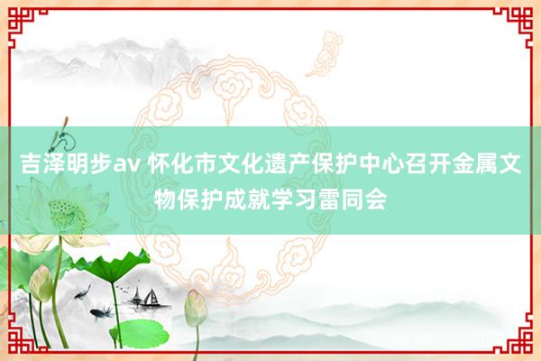 吉泽明步av 怀化市文化遗产保护中心召开金属文物保护成就学习雷同会