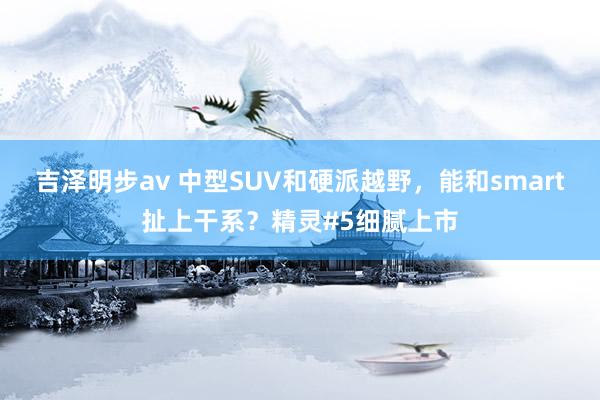 吉泽明步av 中型SUV和硬派越野，能和smart扯上干系？精灵#5细腻上市