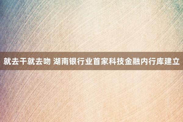 就去干就去吻 湖南银行业首家科技金融内行库建立