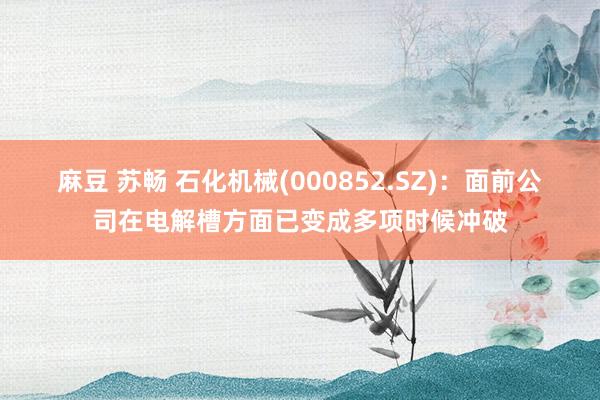 麻豆 苏畅 石化机械(000852.SZ)：面前公司在电解槽方面已变成多项时候冲破