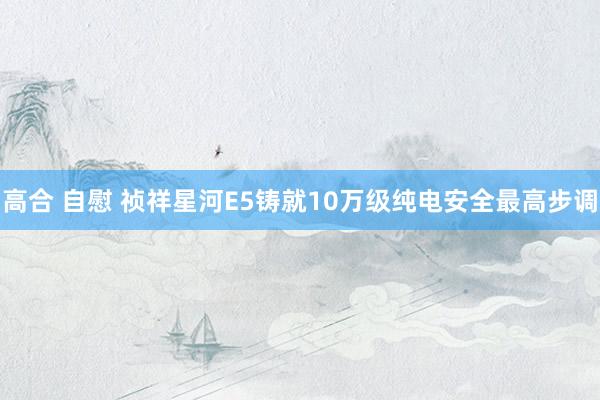 高合 自慰 祯祥星河E5铸就10万级纯电安全最高步调