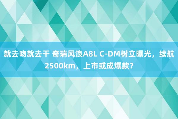 就去吻就去干 奇瑞风浪A8L C-DM树立曝光，续航2500km，上市或成爆款？