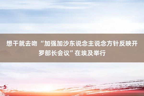 想干就去吻 “加强加沙东说念主说念方针反映开罗部长会议”在埃及举行