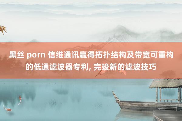 黑丝 porn 信维通讯赢得拓扑结构及带宽可重构的低通滤波器专利， 完竣新的滤波技巧