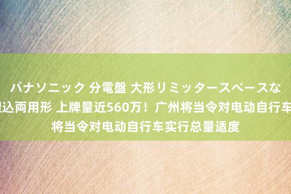 パナソニック 分電盤 大形リミッタースペースなし 露出・半埋込両用形 上牌量近560万！广州将当令对电动自行车实行总量适度