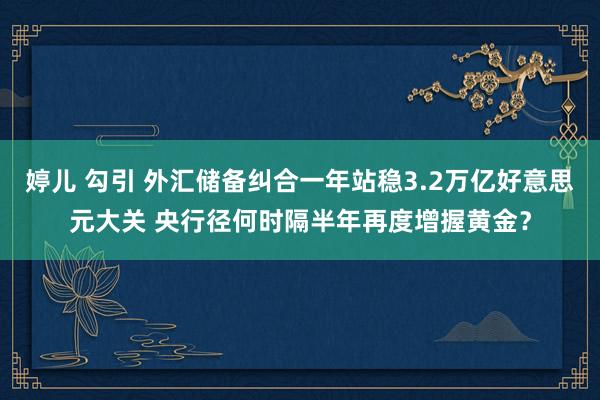 婷儿 勾引 外汇储备纠合一年站稳3.2万亿好意思元大关 央行径何时隔半年再度增握黄金？