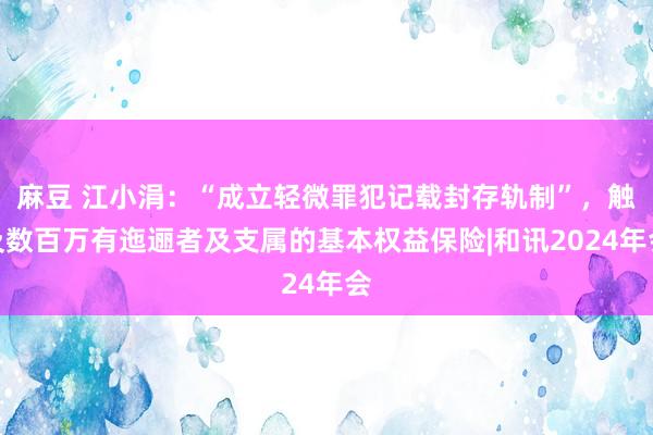 麻豆 江小涓：“成立轻微罪犯记载封存轨制”，触及数百万有迤逦者及支属的基本权益保险|和讯2024年会