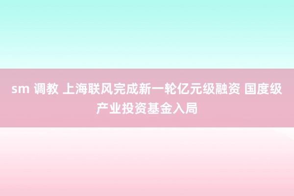 sm 调教 上海联风完成新一轮亿元级融资 国度级产业投资基金入局