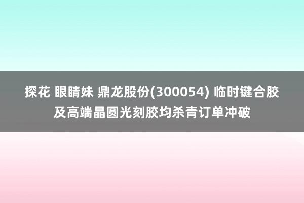 探花 眼睛妹 鼎龙股份(300054) 临时键合胶及高端晶圆光刻胶均杀青订单冲破