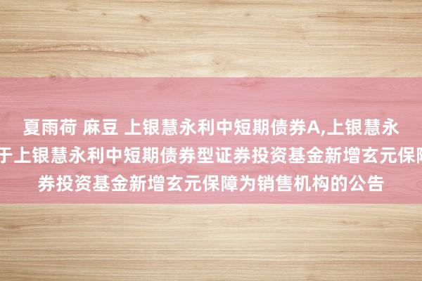 夏雨荷 麻豆 上银慧永利中短期债券A，上银慧永利中短期债券C: 对于上银慧永利中短期债券型证券投资基金新增玄元保障为销售机构的公告