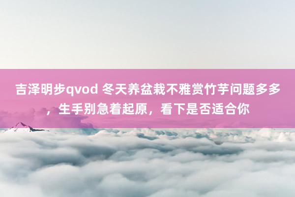 吉泽明步qvod 冬天养盆栽不雅赏竹芋问题多多，生手别急着起原，看下是否适合你