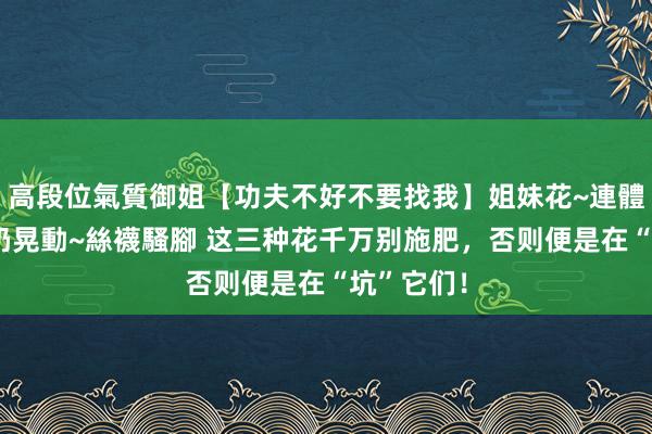 高段位氣質御姐【功夫不好不要找我】姐妹花~連體絲襪~大奶晃動~絲襪騷腳 这三种花千万别施肥，否则便是在“坑”它们！