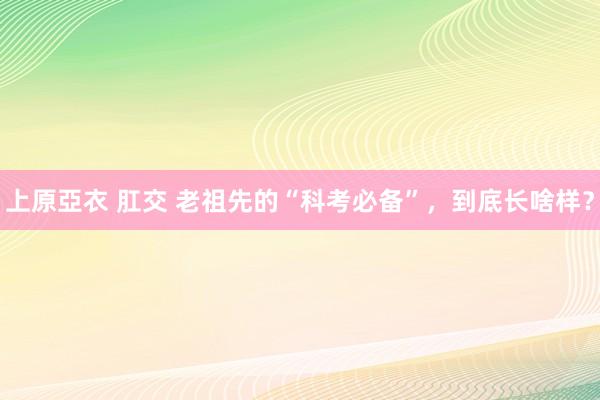 上原亞衣 肛交 老祖先的“科考必备”，到底长啥样？