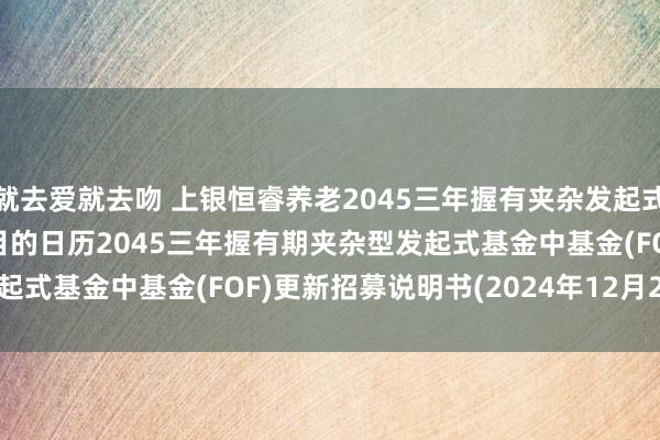 就去爱就去吻 上银恒睿养老2045三年握有夹杂发起式(FOF): 上银恒睿养老目的日历2045三年握有期夹杂型发起式基金中基金(FOF)更新招募说明书(2024年12月28日公告)